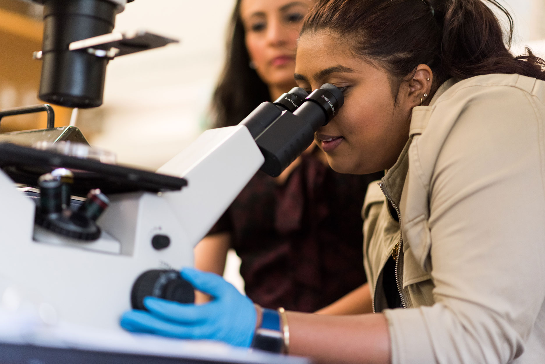 Student using microscope in Molloy biology department