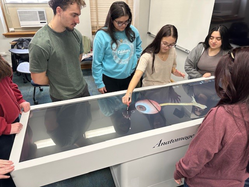 Molloy University students using the new Anatomage table