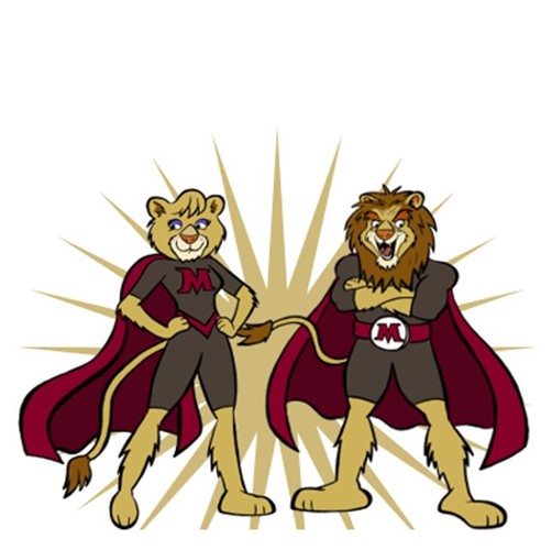 Molloy Lion Superheroes